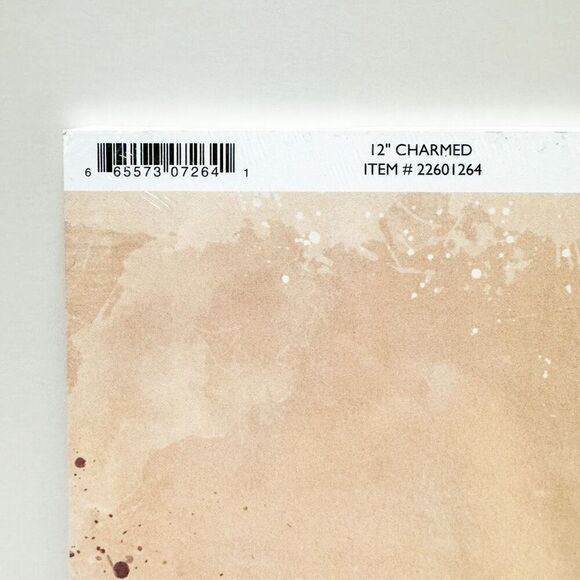 Bo Bunny Scrapbooking Paper Charmed - Picture 4 of 5